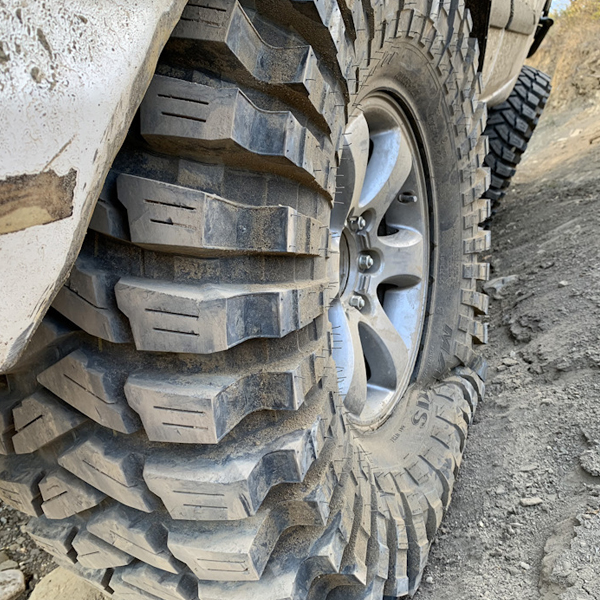 Maxxis Trepador Competition M8060 40×13.5-17 Maxxis – Roadspeed